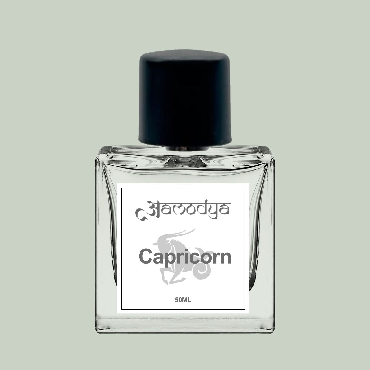 10. Capricorn